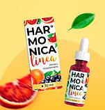 Harmonica Linea для схуднення. Акція на Гармоніка Лінеа. Офіційний сайт, фото 2