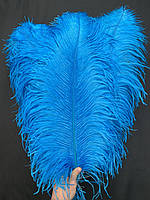 Перо страуса 55-60см (голубой)