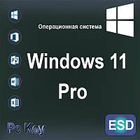 Windows 11 Professional Лицензионный ключ