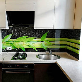 Скло на стіну кухні/Декоративне скіналь Бамбук