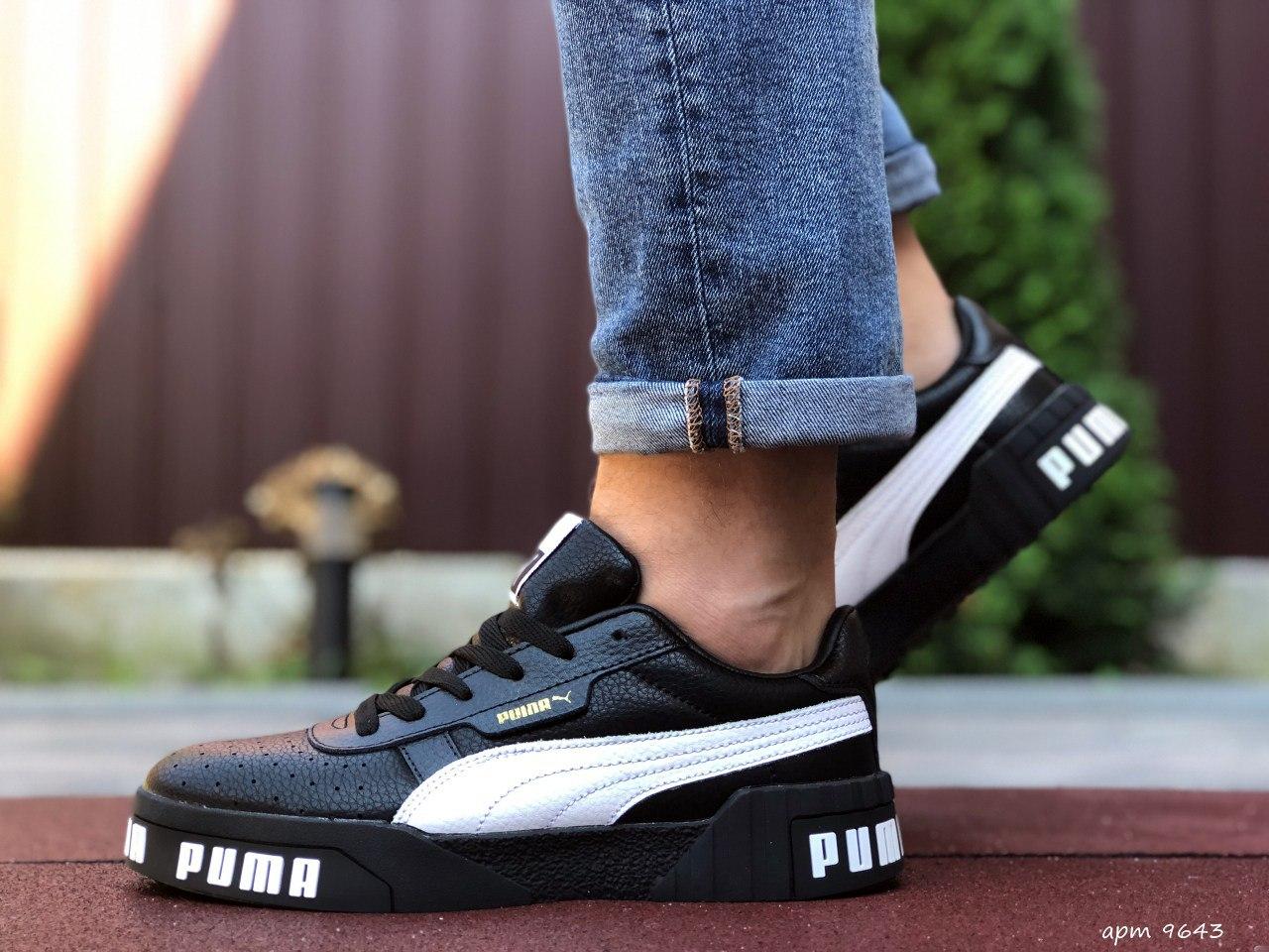 cali bold puma