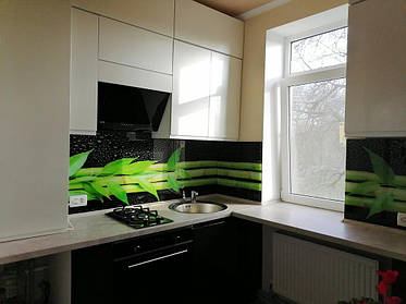 Стеклянный кухонный фартук Зеленый бамбук 1