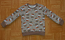 Дитяча кофточка (світшот) для дівчинки з лисичками, розмір 104