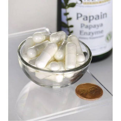 Купить Фермент Swanson Papaya Enzyme Papain (Энзим Папайи Папаин) 100 ...