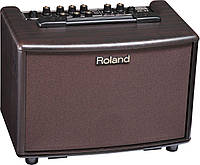 Усилитель для акустической гитары Roland AC-33 RW