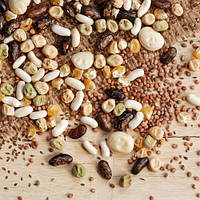 У чому краще замочувати насіння перед посадкою?