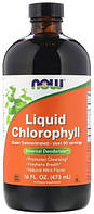 Жидкий хлорофилл Now Foods - Liquid Chlorophyll (473 мл)