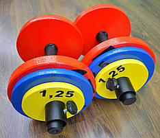 Гантелі набірні 2 по 20 кг Гантелі, гирі, штанги та диски металеві