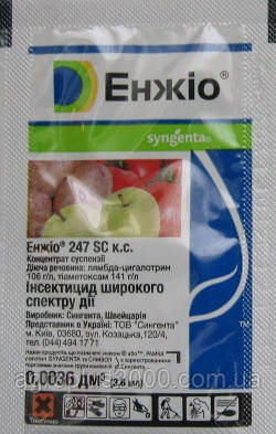 Инсектицид Энжио 3,6 Мл Syngenta — Купить Недорого на Bigl.ua (255290586)