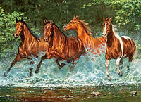 Пазлы Castorland "Лошади, бегущие по воде" 300 элементов 40 х 29 см B-030361