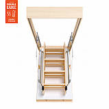 Сходи на горище Bukwood DOUBLE LUXE Standard, фото 5