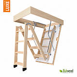 Горищні сходи Bukwood Luxe Standard, фото 3