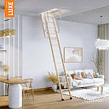 Сходи на горище Bukwood Luxe Long 305 см, фото 2