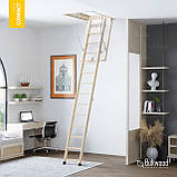 Сходи на горище Bukwood Compact Long з утепленною кришкою, фото 3