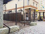 Комір ковані арт.кв 27, фото 3