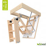 Сходи на горище Bukwood ECO+ Mini, фото 5