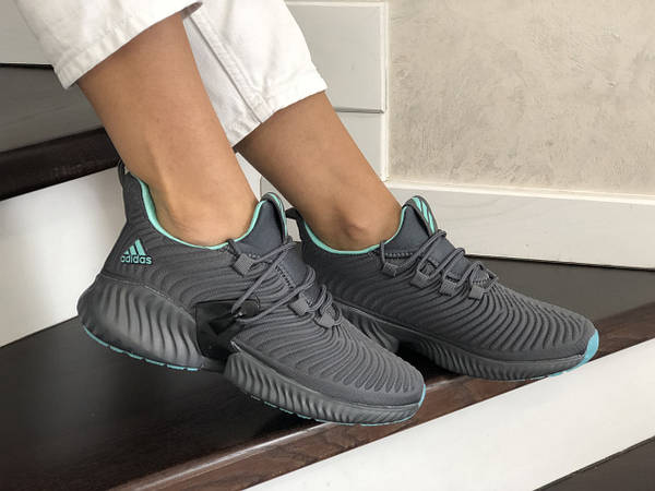 Adidas Alphabounce instinct 1589800180