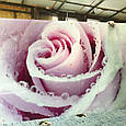 Вологостійка стінова панель для ванної кімнати зі скла Троянда, фото 2