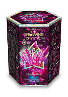 Набір для проведення дослідів "Growing Crystal 8", рос., в кор. 14*12*10см (8шт)