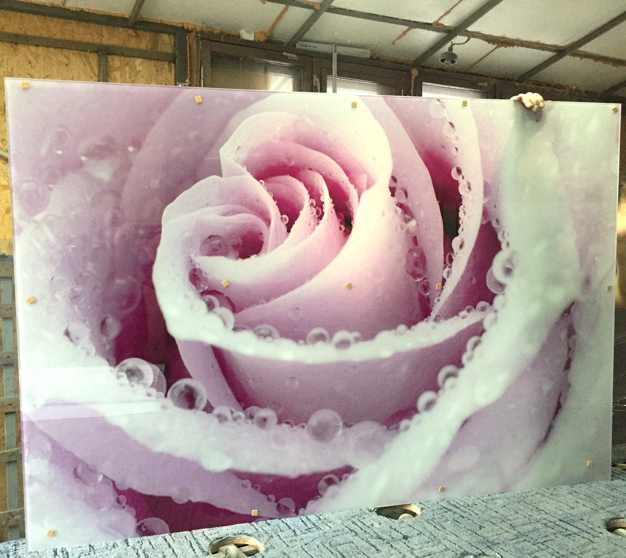 Вологостійка стінова панель для ванної кімнати зі скла Троянда