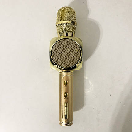 Бездротовий Bluetooth Мікрофон для Караоке Мікрофон DM Karaoke Y 63 + BT. Колір: золотий, фото 2