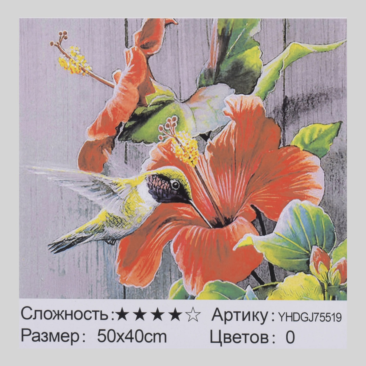 Картина по номерам + Алмазная мозаика 2 в 1 YHDGJ 75519 (50х40 см)