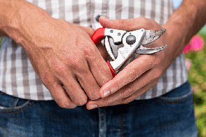 Секатор садовий FELCO 15 — Фелко 15 із поворотною ручкою для обрізки гілок дерев, кущів, живців