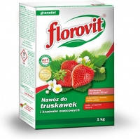 Добриво для полуниці та плодових кущів Флоровіт 1 кг