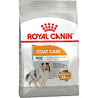 Go Сухий корм Royal Canin Mini Coat Care для собак дрібних порід з тьмяною і сухою шерстю 1 кг