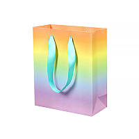 Go Подарунковий пакет PPW PAPER ZD028 Rainbow Big для подарунків