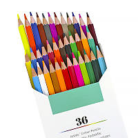 Go Набір олівців Oiless-2021 36 Col. No101 кольорові олійні для малювання дітей