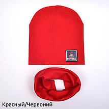 Комплект шапки з хомутом, фото 3