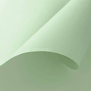 Тканинні ролети Umbra Blackout Фісташковий,