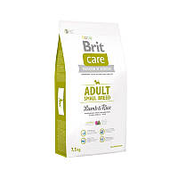 Brit Care Adult Small Breed Lamb Rice (Брит Кеа Едалт Смол Брид) сухий корм для собак до 10 кг у разі алергії