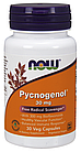 Пікногенол (Pycnogenol) 30 мг 30 капсул