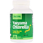 Хлорела (Yaeyama Chlorella) 400 мг 150 капсул