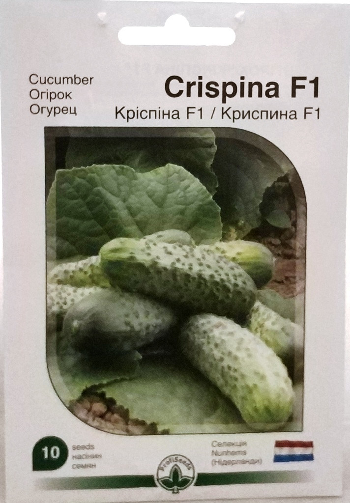 Насіння огірка Кріспіна F1 10н ProfiSeeds