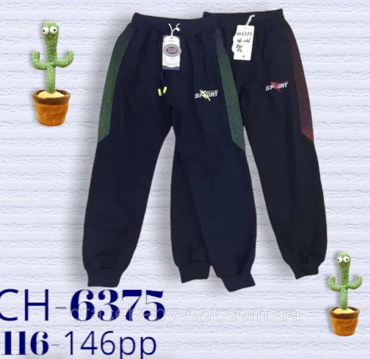 Спортивні штани на хлопчика, S&D, 116,122 см, № CH-6375, фото 1