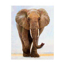 Алмазна мозаїка "Великий слон"