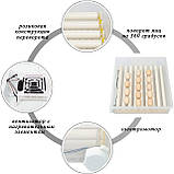 Інкубатор автоматичний ECO PROFI на 36 курячих яєць (220В/12В), фото 2