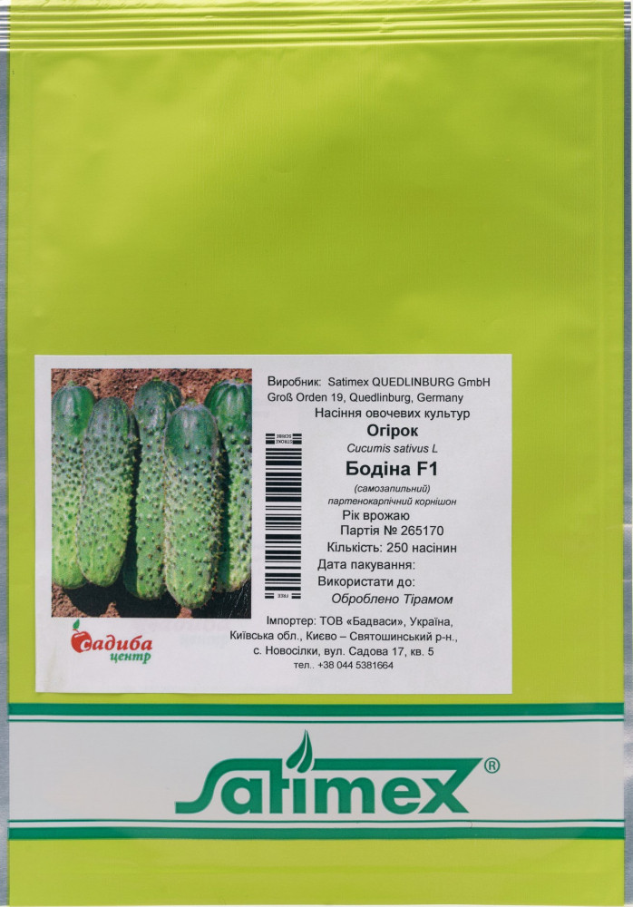 Насіння огірка Бодіна F1, (250нас), Satimex