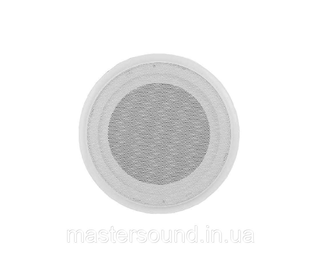 Стельовий динамік L-Frank Audio HSR103-5T, фото 1