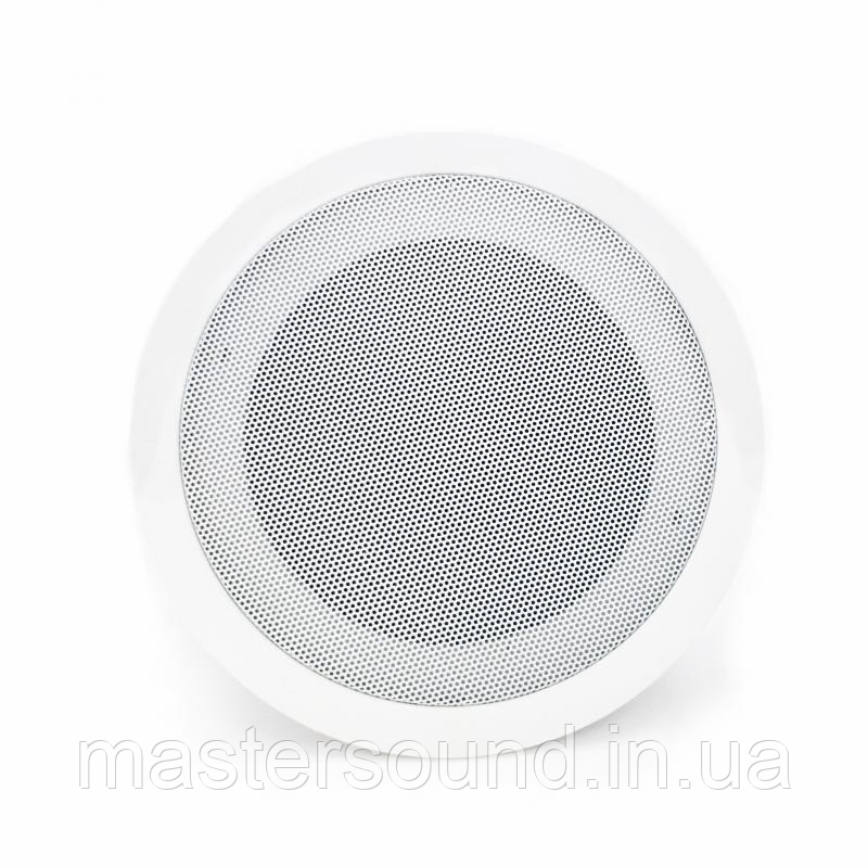 Стельовий динамік Sky Sound S-2630W, фото 1