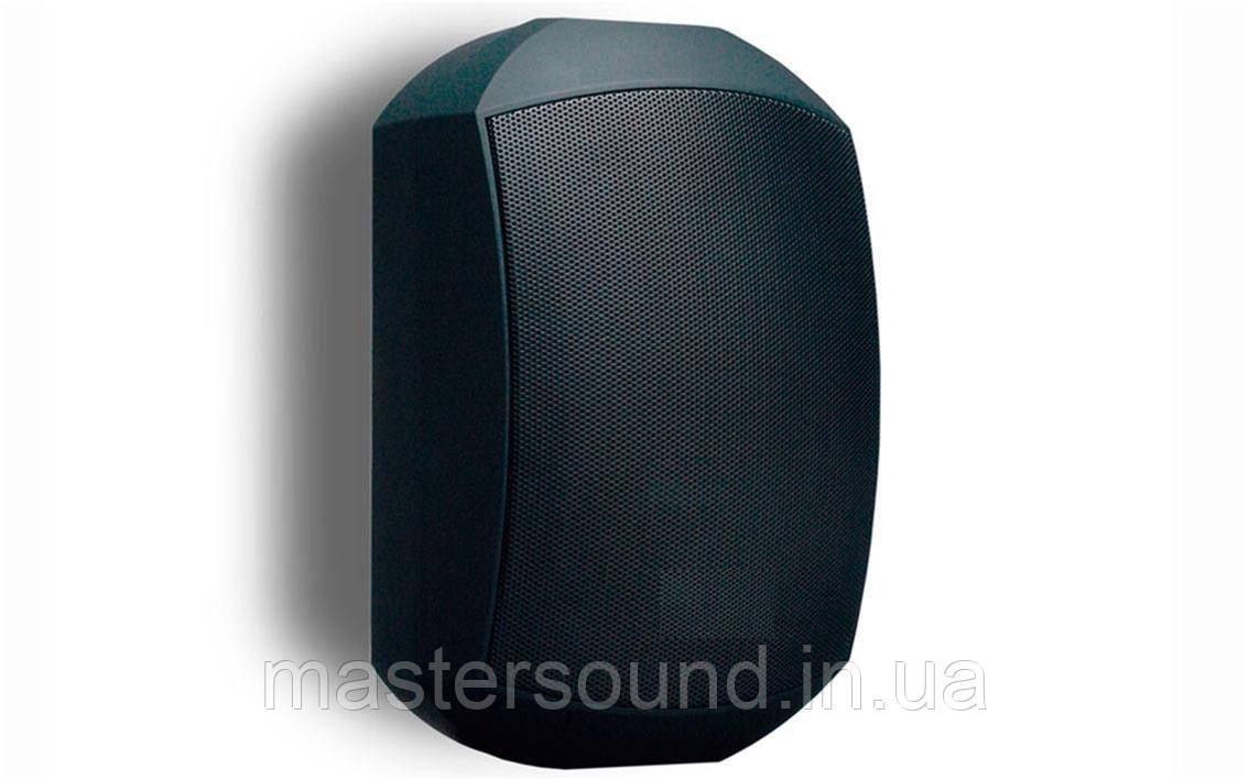 Настенная акустическая система Dv Audio MS-4.2T IP Black - фото 1 - id-p1419939888