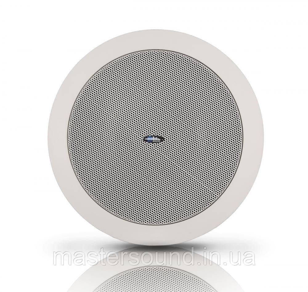 Стельовий динамік Sky Sound T-104TW, фото 1