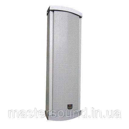 Вулична акустична система Younasi Y-402, фото 1