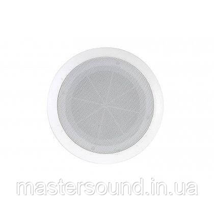 Стельовий динамік Sky Sound TS-2510TW, фото 1