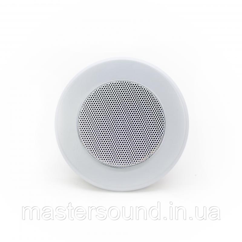 Стельовий динамік Sky Sound TS-1010TW, фото 1