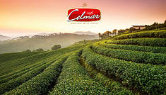 Чай в пакетиках TM Celmar Польща