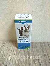 Витамины для грызунов Canina Petvital Propolis n2000